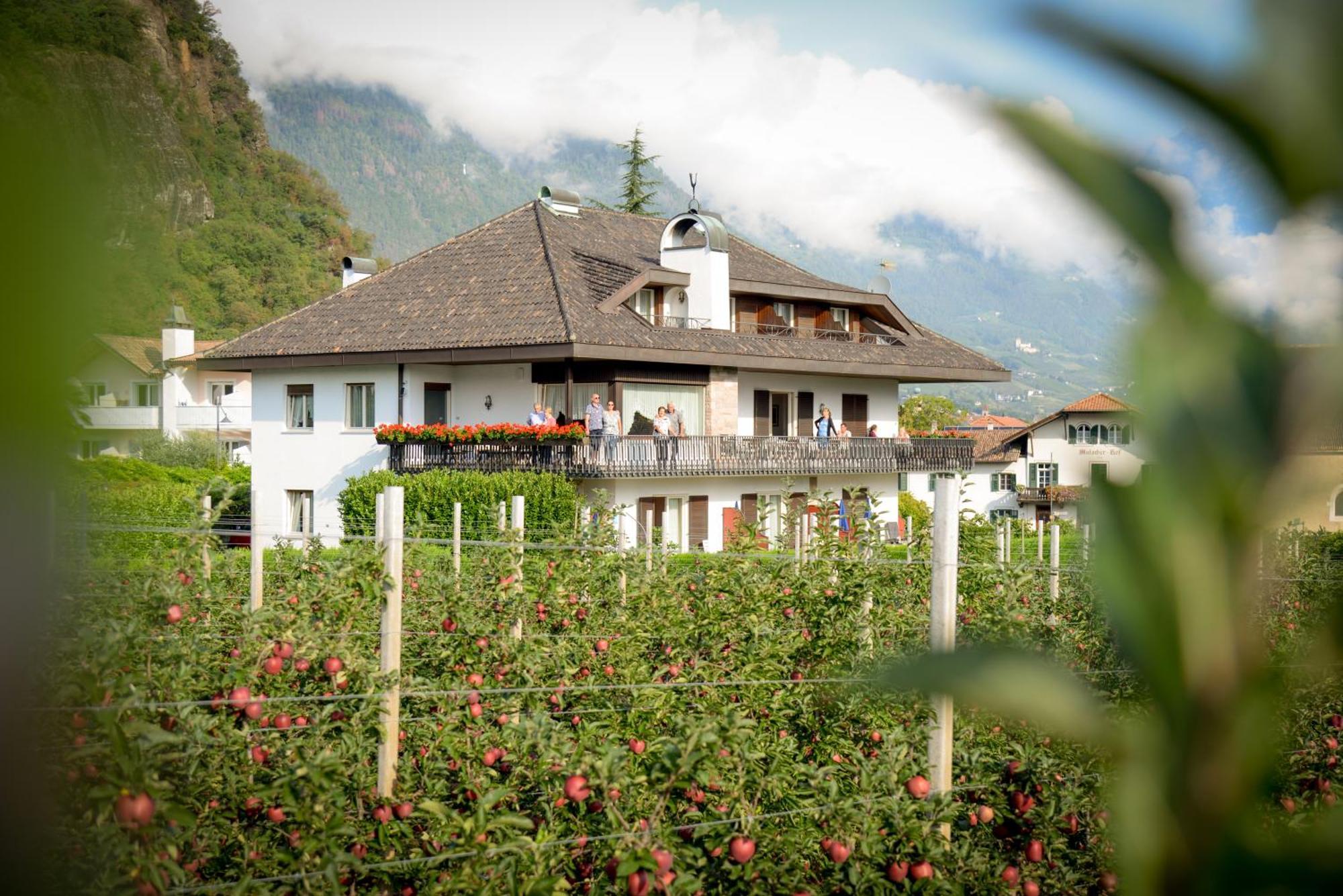 Pension Rebgut Bed & Breakfast Lana Exterior photo